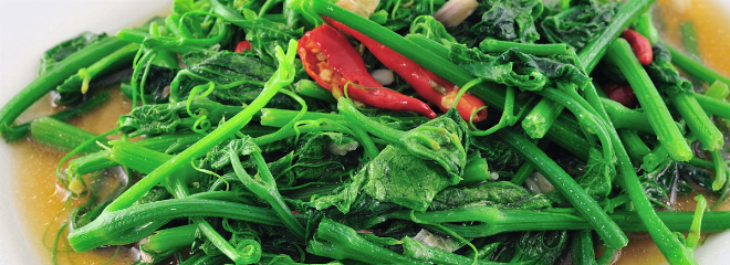 Thai Vegetarisch